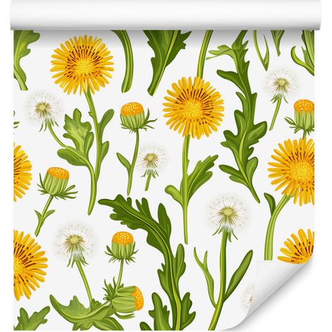 Papier peint Pissenlit Blanc et Citron Vert pour Salon et Chambre 50x1000 cm (1/5)