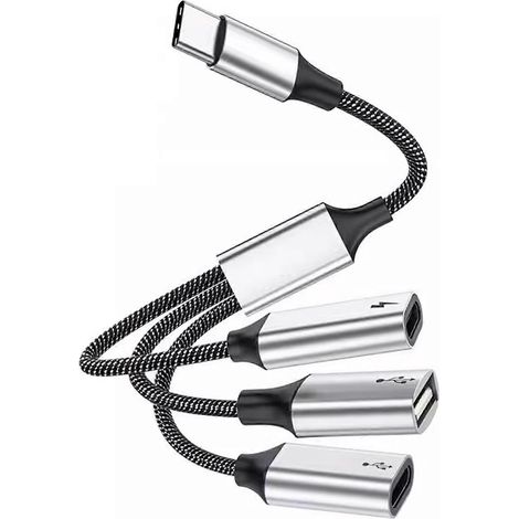 Hub USB-C ultra-rapide de 25 cm avec ports USB-C et USB 2.0 et alimentation 60 W - 2 ports USB-C et 1 port USB-C (1/4)