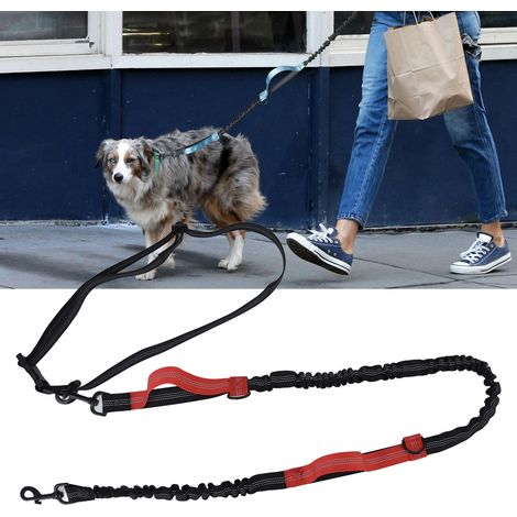 Laisse de jardin portable pour animaux de compagnie, laisse de course, réfléchissante, laisse rétractable à double poignée pour chien, chaîne pour chien, rouge. (1/5)