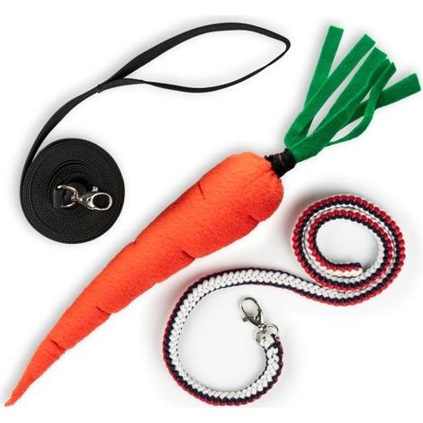 Affondo, corda da addestramento e carota: accessori per l'allenamento