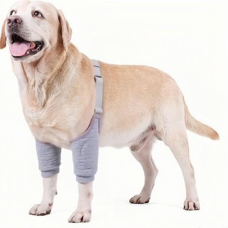 Coudières pour chiens de petite, moyenne et grande taille, avec coussinets en maille. Favorisent la cicatrisation et empêchent le léchage (gris, 35-40 kg). (1/5)