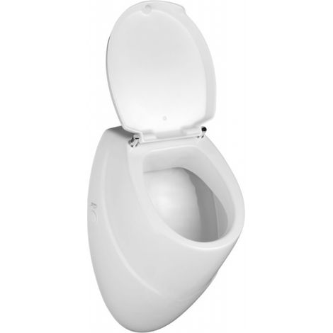 Urinario con cubierta de formato de diseño (1/2)