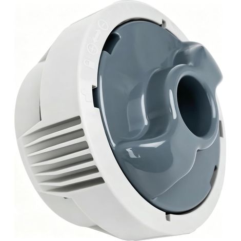 Système de distribution de chlore P05345 P03821 - Distributeur de chlore de rechange compatible avec P05345 P03821 - Jacuzzi gonflables - Distributeur de chlore (1/5)