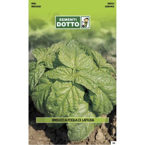 SEMENTI EXTRABASILICO FOGLIA LATTUGA