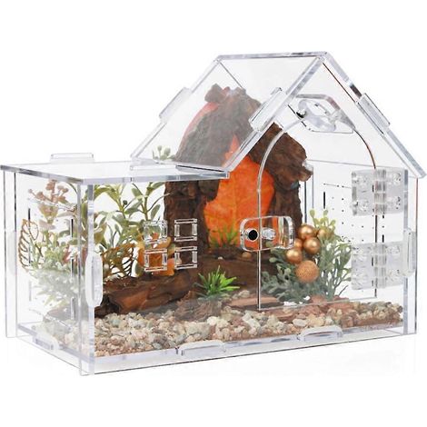 Terrarium acrylique pour araignées sauteuses - Terrarium polyvalent pour reptiles (tarentule, gecko, caméléon, coléoptère, mante religieuse et bernard-l'hermite) (1/5)