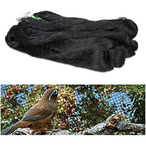 2,5 cm quadratisches Vogelschutznetz (5 x 10 m) - Schwarz, robust für Voliere, Garten, Pflanzen, Teiche, Obst, Gemüse. (1/5)