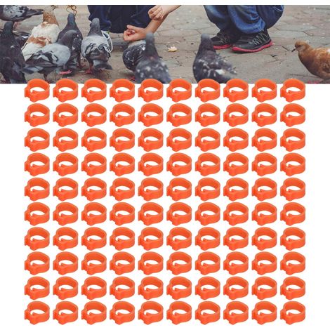 100 anillas de plástico naranja para identificación de palomas, Ø 8 mm – paquete de 100 anillas sin marcar (1/5)