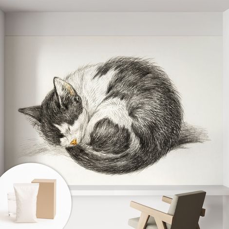 Papier peint décoratif avec colle pour salon, chambre à coucher et bureau – Design moderne et facile à poser Charmant chaton 152x104 cm (1/5)