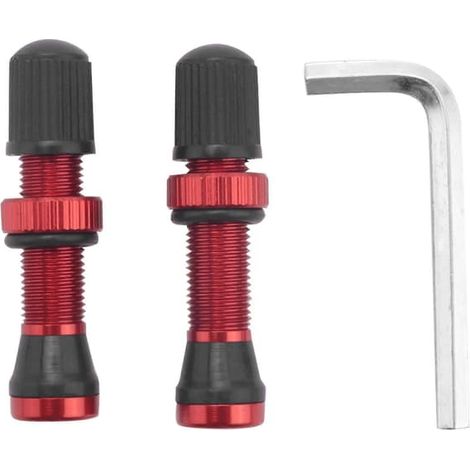 Ecleanfy - 2 valves Schrader A/V pour vélo, embouts anodisés usinés CNC de 40 mm pour jantes tubeless de vélo de route (1/5)