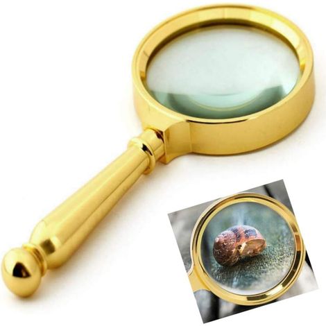 Loupe Manuel - Verre Optique 5X - Cadre en Alliage de Zinc - Diamètre 80 mm - Poignée Antidérapante - Pour Lecture Observation Inspection
