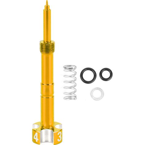 Vis de réglage mélange air/essence pour moto, accessoire de modification compatible HONDA Gold (1/5)