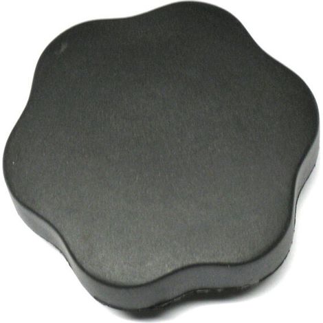 Bouchon de remplissage d'huile Renault 19 88-95