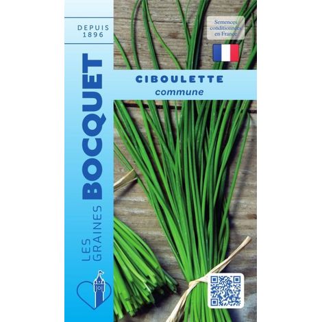 Ciboulette commune - 1g