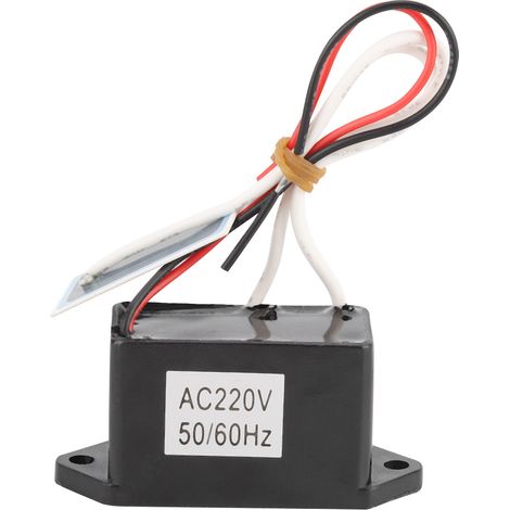 Générateur d'Ozone 200mg/h Purificateur d'Air DIY 220V-240V (1/5)