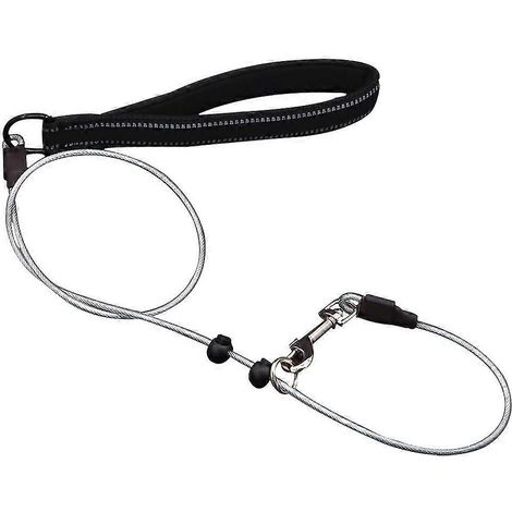 Les laisses pour chiens sont compatibles avec l'entraînement en extérieur, les promenades, etc. (1/5)