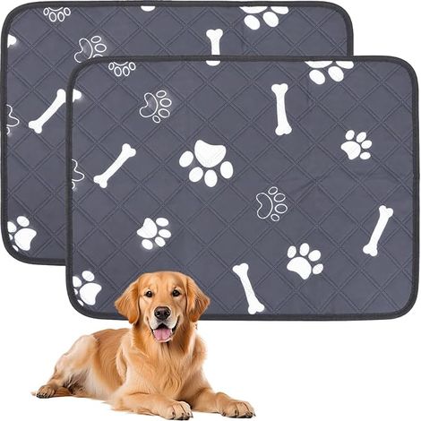 Tapis Imperméables, Tapis Lavable Absorbant, 60 x 45 cm Alèses Absorbantes Couches pour Cochons d'Inde, Tapis Absorbant pour Lapins, Hamsters, Chiots et Petits Animaux (1/5)