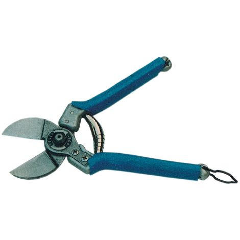 Forbici per Frutteto - 20 cm