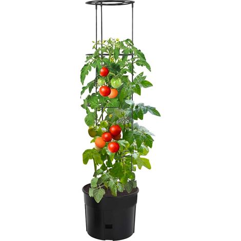 Maison Exclusive - Vaso a Torre per Pomodori Antracite Ø39x150 cm Polipropilene (1/5)