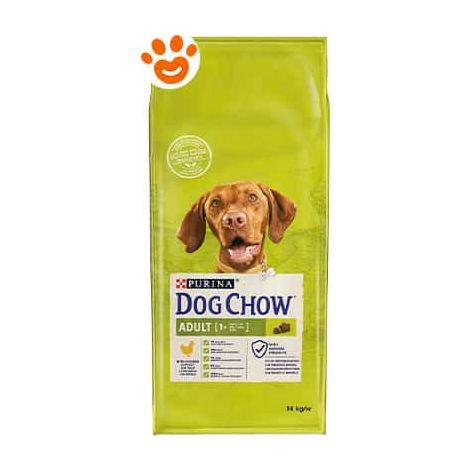 Purina Dog Chow Adult Pollo - Sacco 14 Kg - Cibo Secco Cani