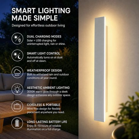 Applique murale LED design minimaliste 40cm 15W corps en métal et diffuseur acrylique éclairage doux pour chambre et salon (1/4)