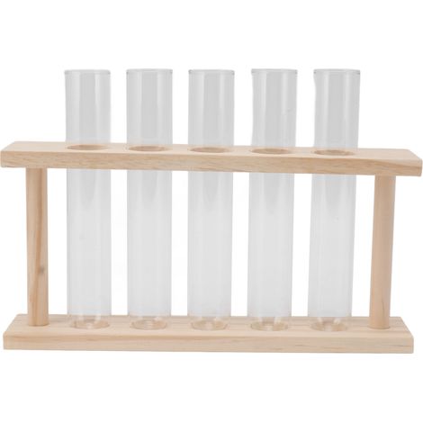 Terrarium transparent à 5 tubes à essai pour plantes, avec support en bois et porte-plantes pour observer leur croissance.
