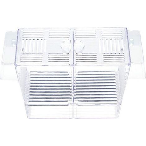 Boîte D'Élevage Pour Alevins - Boîte D'Isolation En Acrylique Avec Fond Perforé Et Ventouses - Pour Aquariums - 1 Pièce (1/5)
