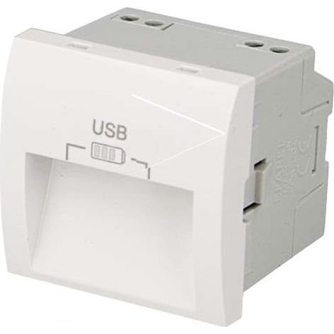 Double chargeur USB sorties 20° type A pour goulotte - Couleur matériel - Blanc (1/2)