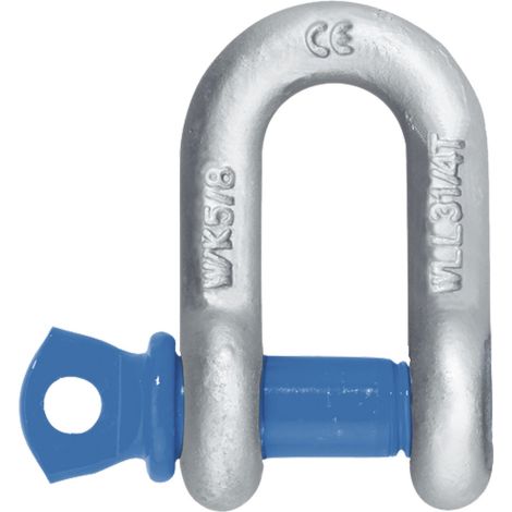 Schäkel Hochfest gerade mit Augenbolzen NG 1/2'' feuerverzinkt (1/4)