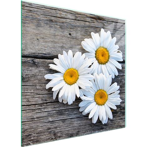 PLAQUE DE PROTECTION EN VERRE POUR POÊLE 50x52 DAISY (1/5)