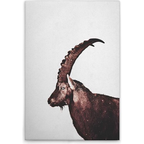 Leinwandbild Tiere Steinbock M1-No.51116 - Kunstdruck auf Leinwand in Grau Braun - Wandbild 30 x 45 cm (1/5)