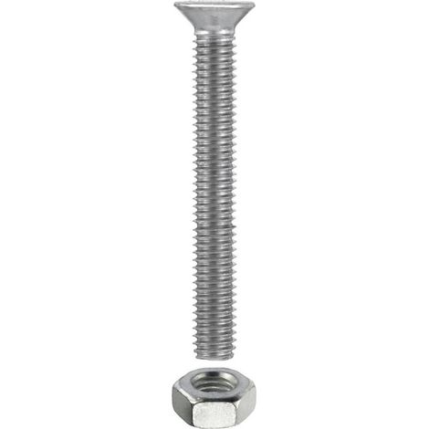 Viti Testa Piana Svasata 4 x 40 mm 10 pezzi