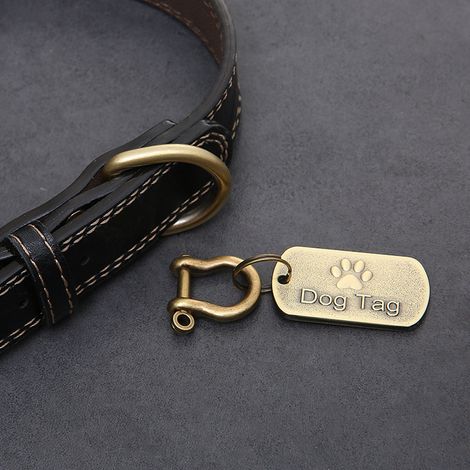 Lot de 2 médailles d'identification pour chien, style rétro, en acier inoxydable, pendentif créatif (bronze). (1/4)