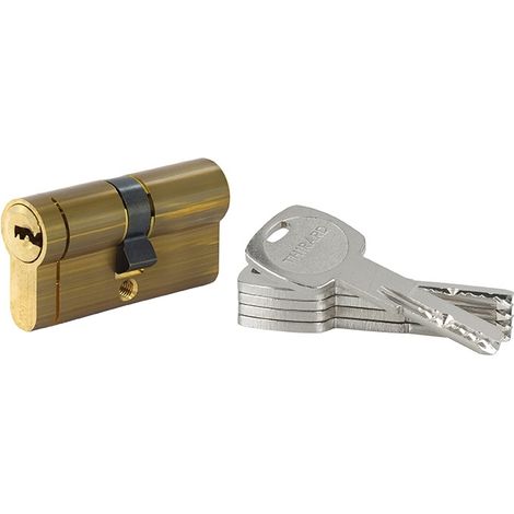 Cilindro europeo 30X30 Transit 1 Ottone, 4 chiavi reversibili - THIRARD (1/5)