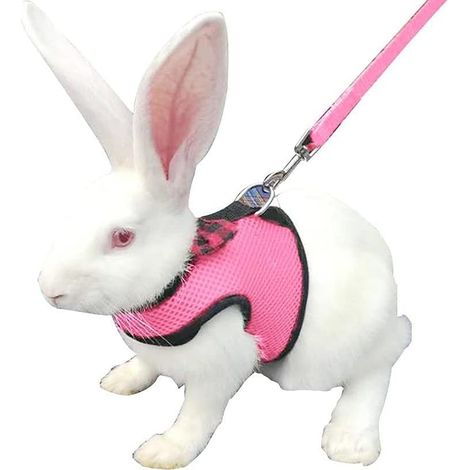 Laisse Pour Lapin - Harnais Avec Gilet En Maille Respirante Pour Petit Animal De Compagnie - Ajustable Velcro - 1 Pièce (1/4)