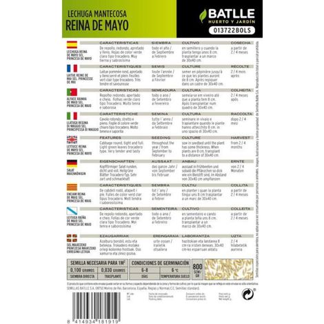 Graine de Laitue Pommée - Trocadero S/N - Semence Annuelle pour Potager - 1 Sachet