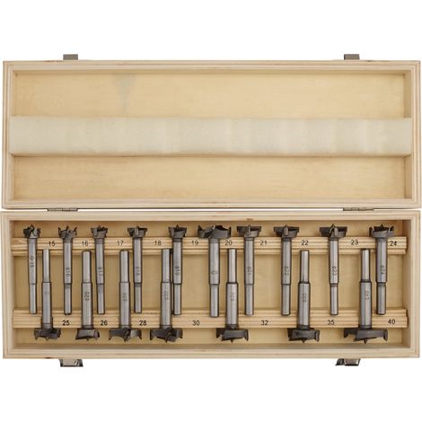 Draper 17-Piece Forstner Drill Bit Set for Flat Bottomed Holes and Hinges (Model 08930) (1/2)