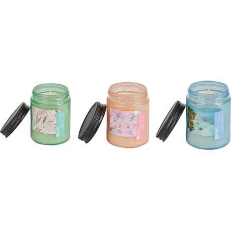 Conjunto de 3 velas perfumadas 100% cera de soja mecha de algodón vidrio fragancia floral fresca salvia sal marina/océano/orquídea aloha flor frutal FRUITY BLOOM