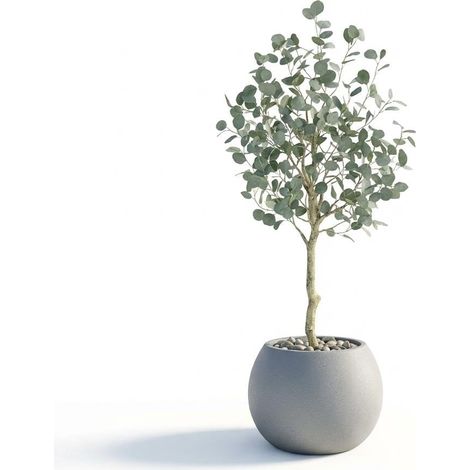 Arbre d'Eucalyptus Artificiel 150cm Réaliste, Plante Synthétique avec Pot en Paille, Décoration Maison Intérieur Salon Bureau (1/5)