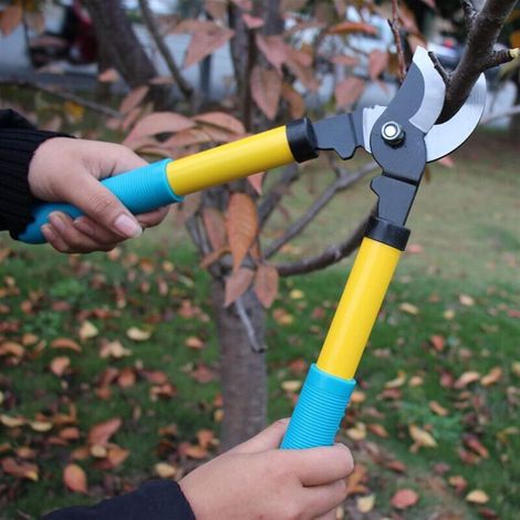 Forbici da giardinaggio retrattili, impugnatura invertita, cesoie da potatura, attrezzi da giardino, cesoie per potatura bonsai, forbici per siepi da giardino (1/4)