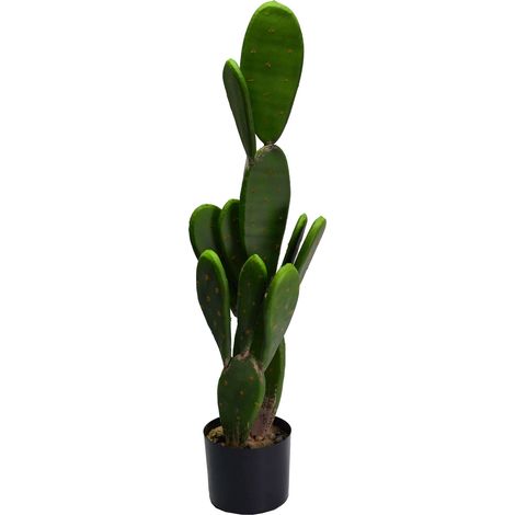 Pianta cactus con vaso tondo cm Ø14xh84