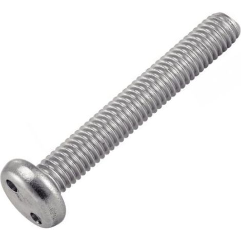 Vis Inviolable TC 2 Trous Snake Eyes M5X30 Inox A2 (1/2)
