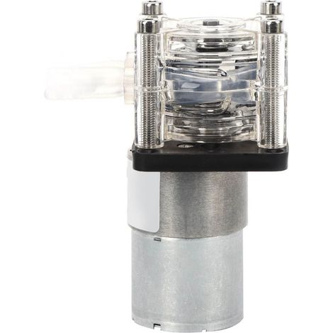 Pompe péristaltique à grand débit, pompe doseuse de haute qualité pour aquarium et laboratoire, 500 ml/min, 24 V (1/5)