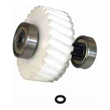 Erste Untersetzungswelle und Krone – F1100 CAME Ersatzteil 119RID091