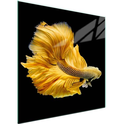 Glasschutzplatte für den Herd 50x52 Fisch (1/5)