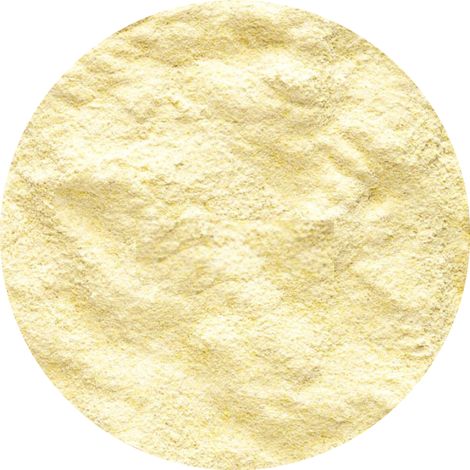 Vetafarm NeoCare - Alimento per pulcini alimentati a mano 450 g (1/3)