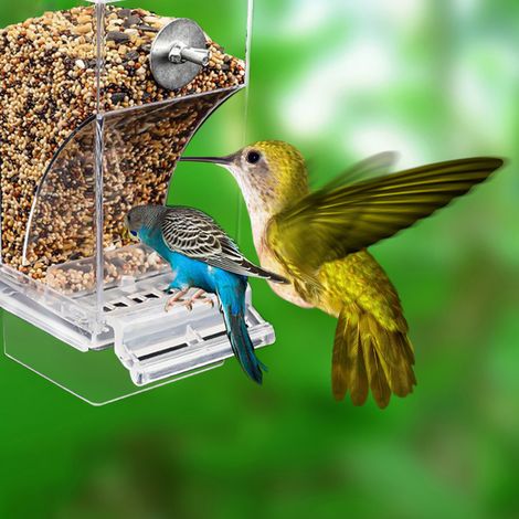 Nouveau distributeur automatique anti-gaspillage pour perruches, perroquets et oiseaux, transparent, 1 pièce en sachet, empêche les projections. (1/5)
