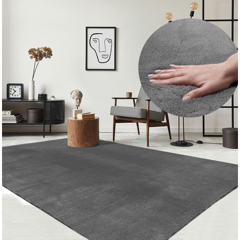 Tapis Moderne Moelleux à Poils Courts, antidérapant, Lavable Jusqu’à 30°C, Super Doux, Aspect Fourrure, pour Salon et Chambre, décoratif, Anthracite, 300 x 400 cm (1/5)