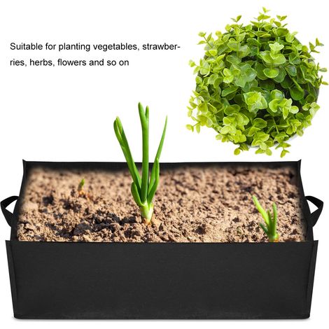 sacs de plantation carrés non tissés pour fraisiers (1/4)
