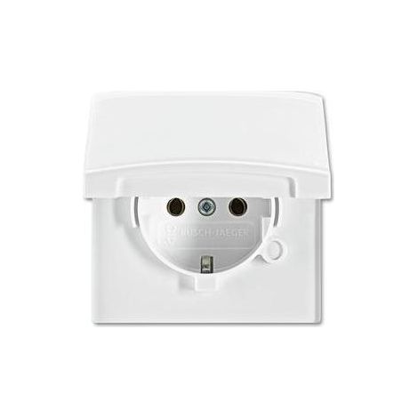Busch-Jaeger 20 EUGK-34-101 SCHUKO® Steckdosen-Einsatz mit Klappdeckel (1/5)