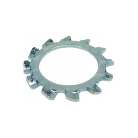 Rondelle dentelée M18 DIN6797A galvanisée, lot de 250 (1/5)